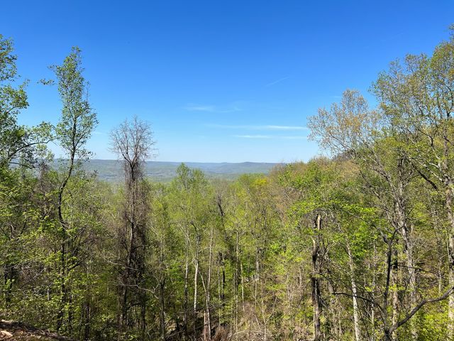 98 Saddleback Drive, Dover, TN 37058