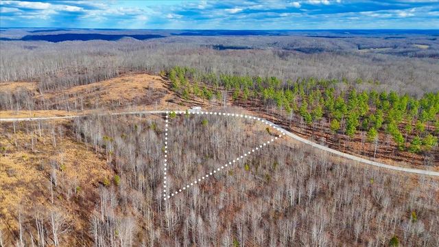 98 Saddleback Drive, Dover, TN 37058