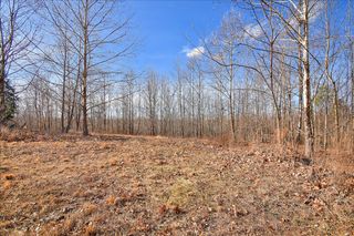 98 Saddleback Drive, Dover, TN 37058