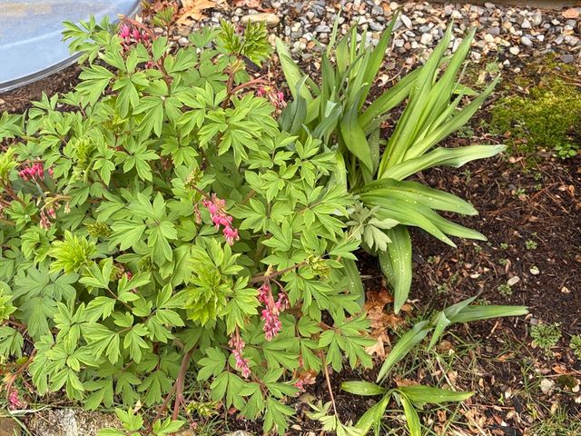 2 Baron Way, Littleton, MA 01460