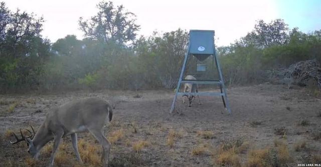 000 Charco Rd, Beeville, TX 78102