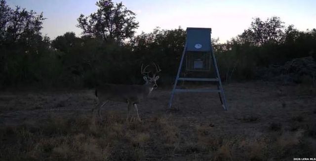 000 Charco Rd, Beeville, TX 78102