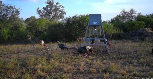 000 Charco Rd, Beeville, TX 78102