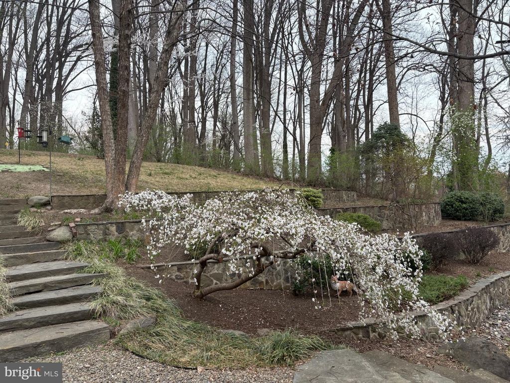 Image 49 of property listing at 6102 GALLERY ST, Bowie, MD 20720