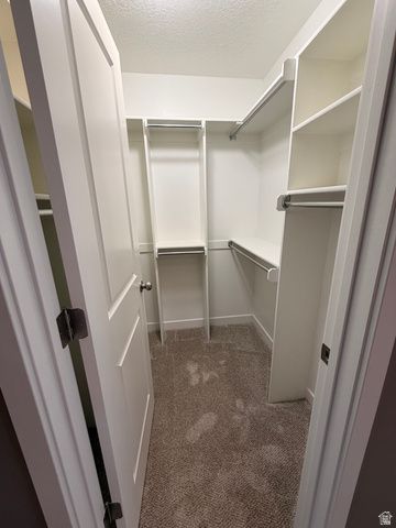 371 S 780 E, American Fork, UT 84003