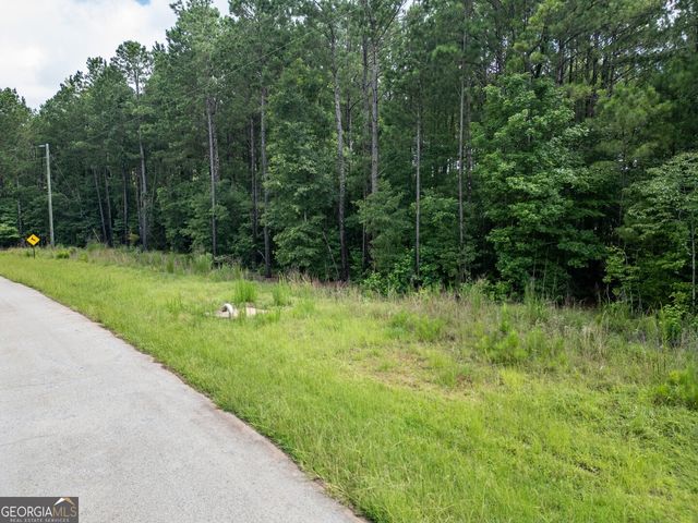 171 Preservation Drive, Jackson, GA 30233