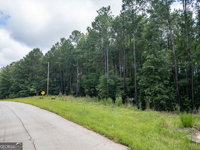 171 Preservation Drive, Jackson, GA 30233