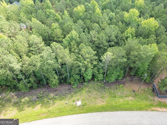 171 Preservation Drive, Jackson, GA 30233