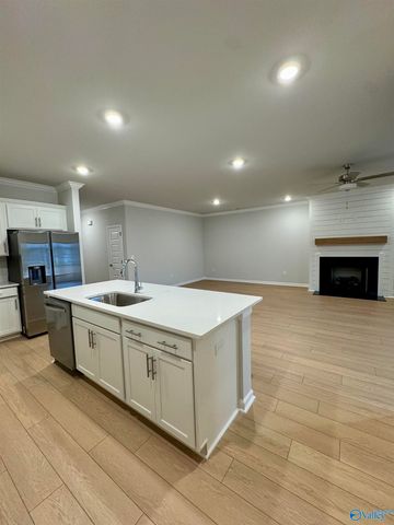 207 Stockyard Circle, Madison, AL 35757