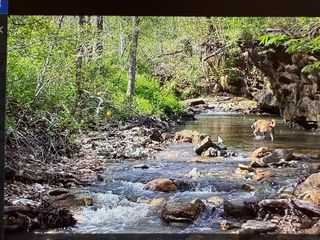 890 Bluebird Lane, Sparta, MO 65753