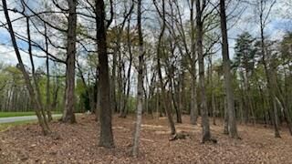 Lot 291 Dormie LN, Penhook, VA 24137