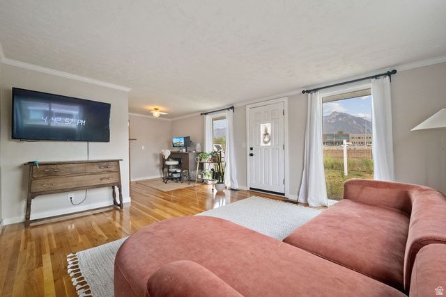 10368 S CROCUS ST, Sandy, UT 84094