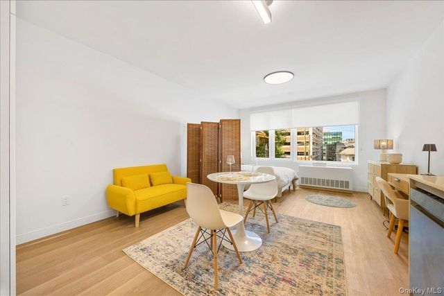 8 Chester Avenue 216, White Plains, NY 10601