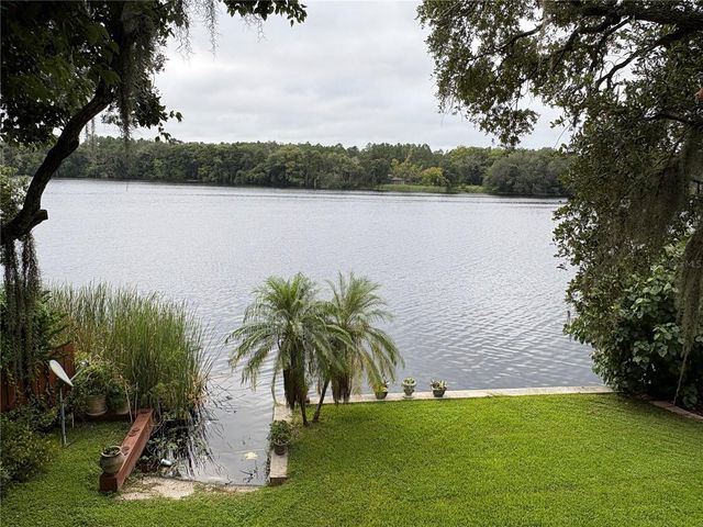 4223 E RIVERHILLS DRIVE, Tampa, FL 33617