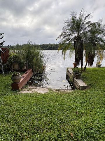 4223 E RIVERHILLS DRIVE, Tampa, FL 33617