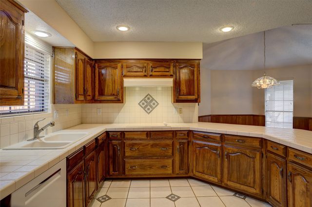 3905 Palo Duro Drive, Plano, TX 75074