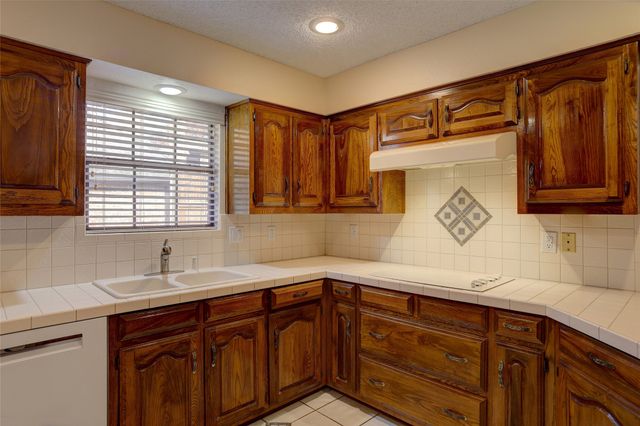 3905 Palo Duro Drive, Plano, TX 75074