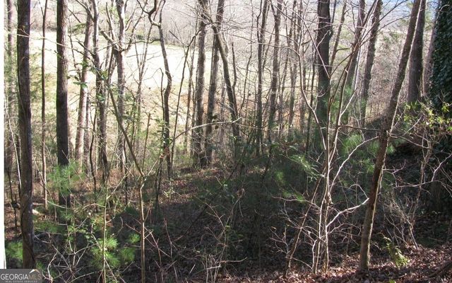 #39 Pinecrest Road, Young Harris, GA 30582
