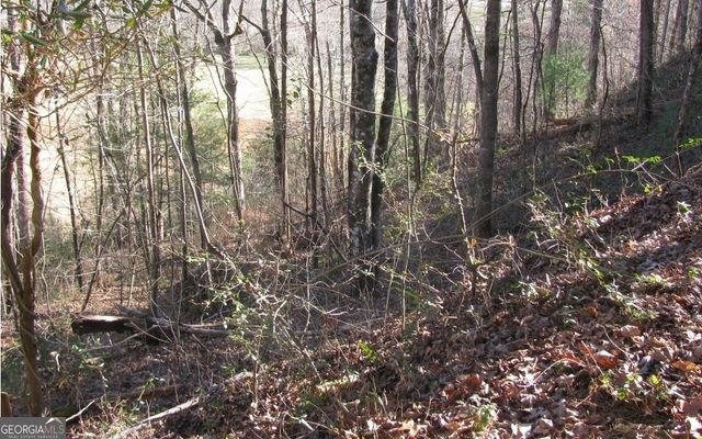 #39 Pinecrest Road, Young Harris, GA 30582