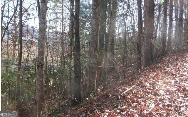 #39 Pinecrest Road, Young Harris, GA 30582