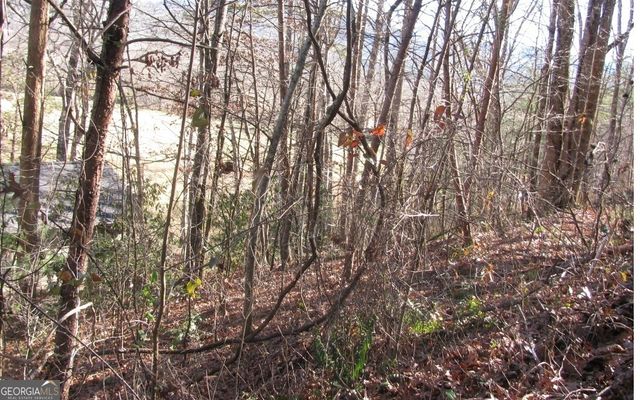 #39 Pinecrest Road, Young Harris, GA 30582