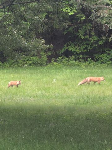 83 Deer Run Lane, Westford, VT 05494