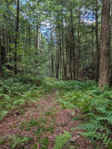 83 Deer Run Lane, Westford, VT 05494