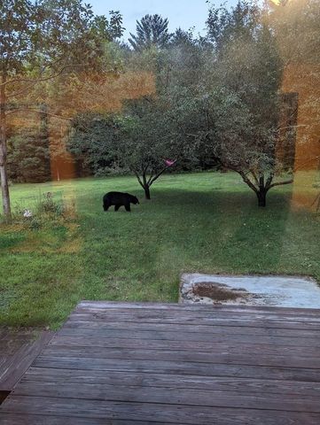 83 Deer Run Lane, Westford, VT 05494