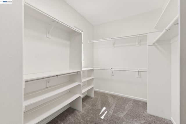 3107 Browntail Way, San Ramon, CA 94582
