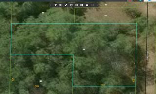 8974 N 10th Avenue, Bitely, MI 49309