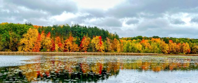 12294 Cranes Avenue, Richland, MI 49083