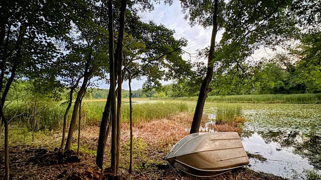 12294 Cranes Avenue, Richland, MI 49083