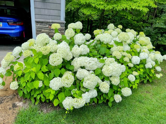 12294 Cranes Avenue, Richland, MI 49083