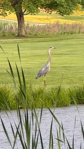 12294 Cranes Avenue, Richland, MI 49083