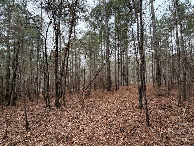 1700 Northwoods Drive, Greensboro, GA 30642