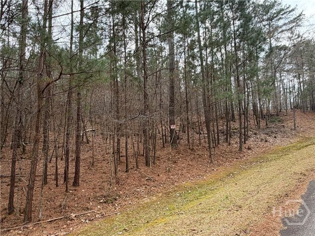 1700 Northwoods Drive, Greensboro, GA 30642