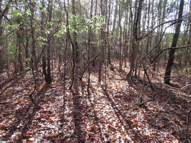 Amberway Road, Easley, SC 29640