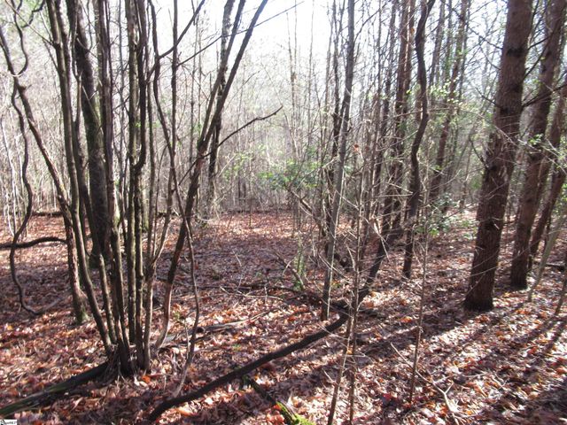 Amberway Road, Easley, SC 29640