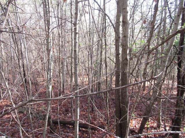 Amberway Road, Easley, SC 29640