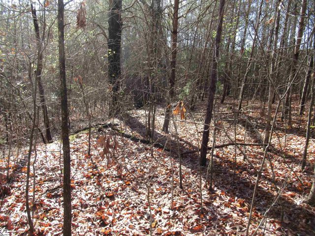 Amberway Road, Easley, SC 29640