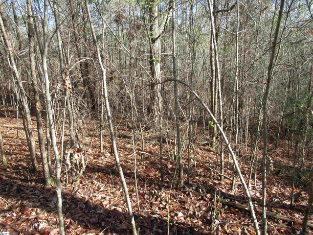 Amberway Road, Easley, SC 29640