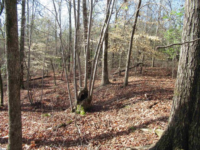 Amberway Road, Easley, SC 29640