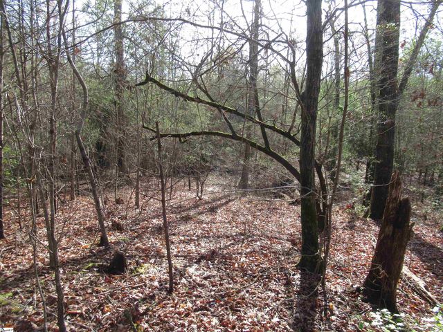 Amberway Road, Easley, SC 29640