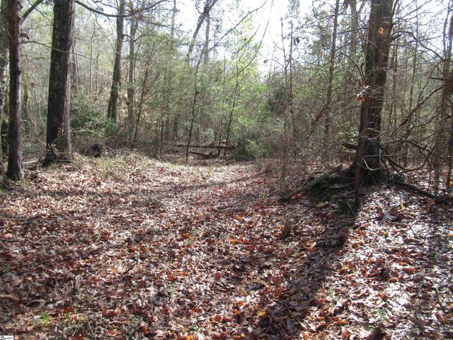 Amberway Road, Easley, SC 29640