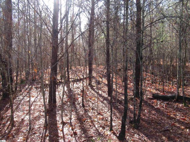 Amberway Road, Easley, SC 29640