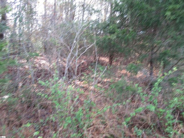 Amberway Road, Easley, SC 29640