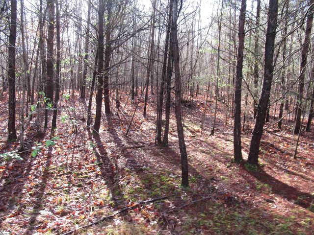 Amberway Road, Easley, SC 29640