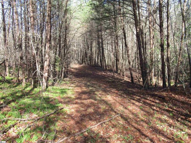 Amberway Road, Easley, SC 29640