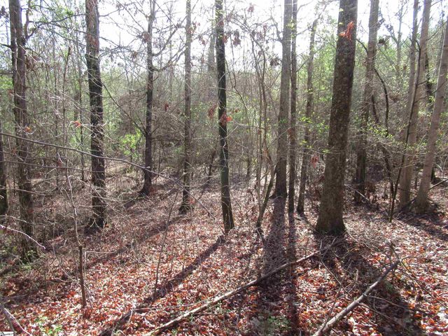 Amberway Road, Easley, SC 29640