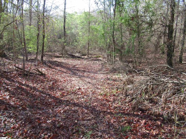 Amberway Road, Easley, SC 29640